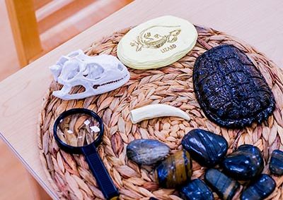 A table with various science-related objects such as rocks, a magnifying glass, and fake lizard bones.
