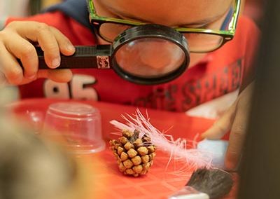 A young boy looking at a pinecone through a magnifying glass.